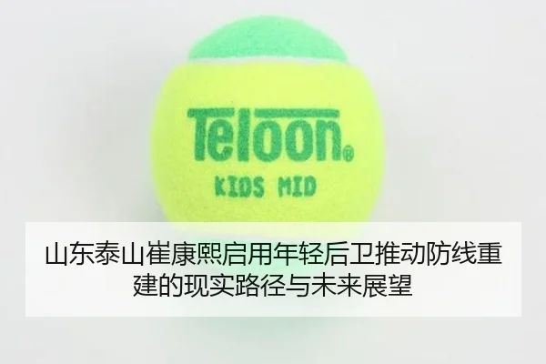 山东泰山崔康熙启用年轻后卫推动防线重建的现实路径与未来展望